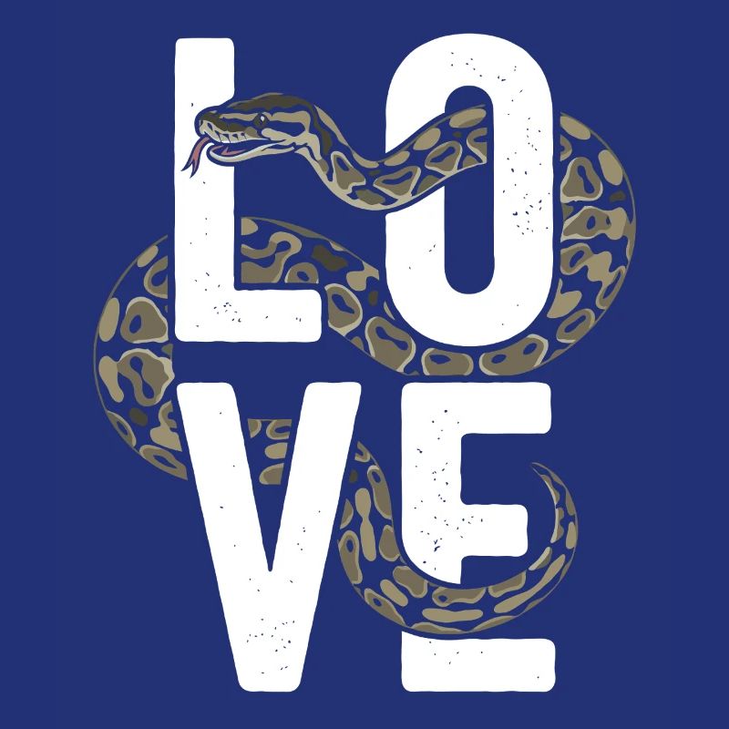 Königspython Schlangen LOVE Terrarium Python