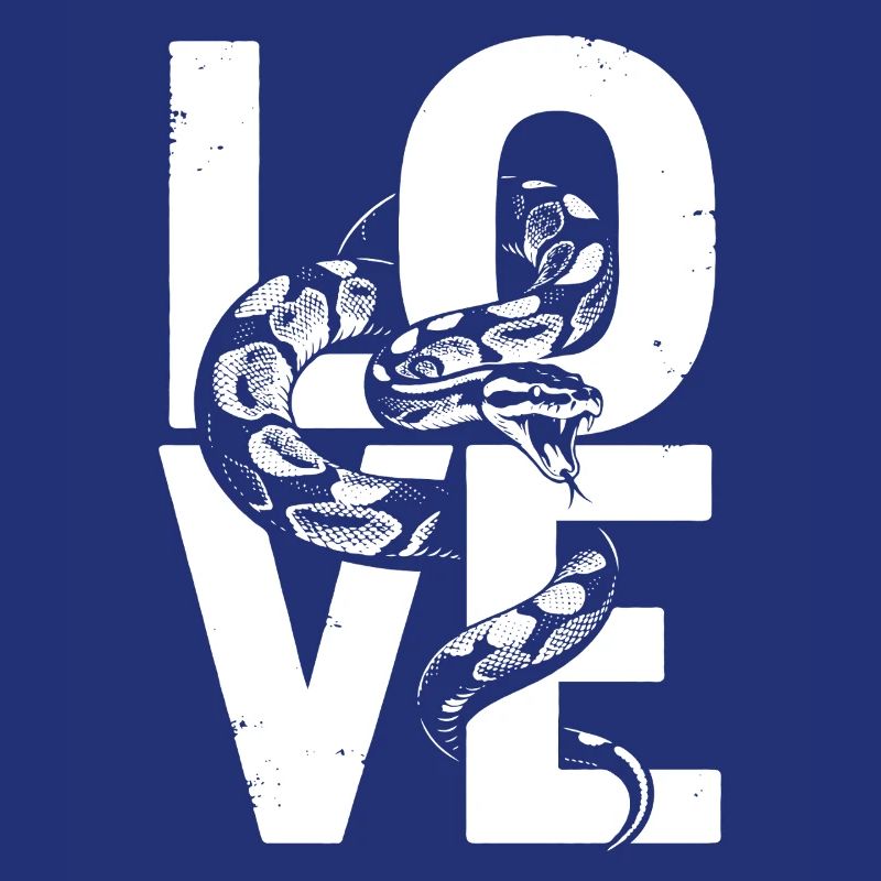 Königspython Schlangen LOVE Terrarium Python