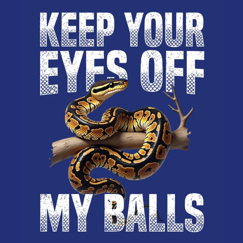 Königspython Schlangen Liebhaber Terrarium Python