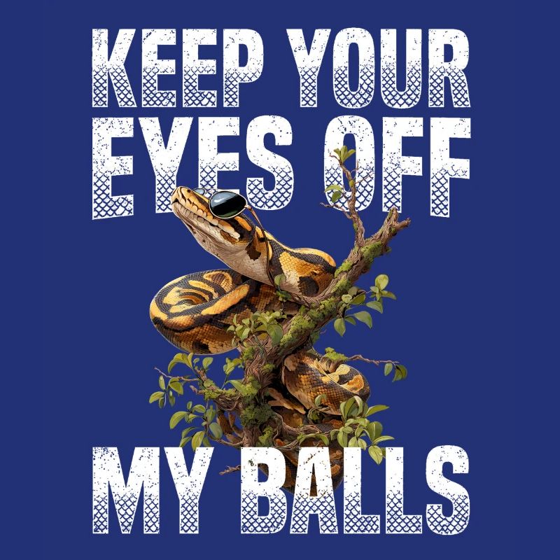 Königspython Schlangen Liebhaber Terrarium Python