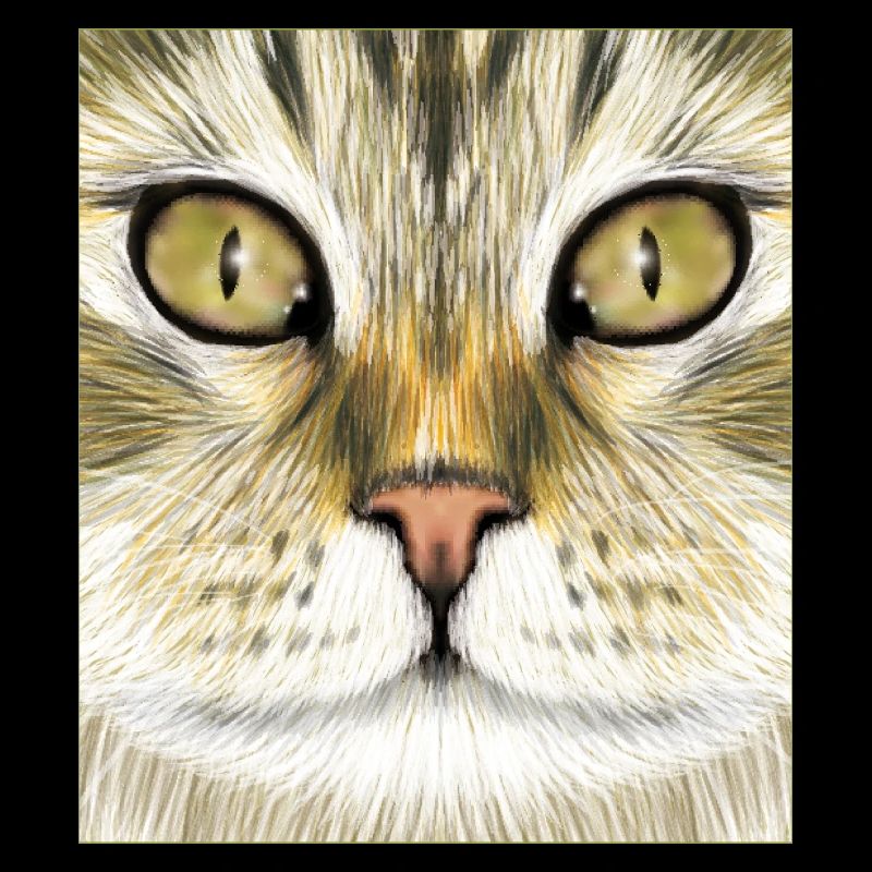 Norwegische Waldkatze