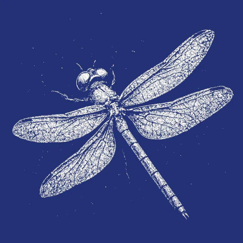 Libellule