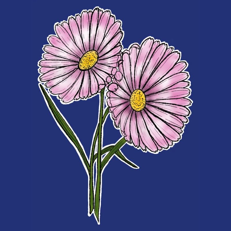 Gänseblümchen
