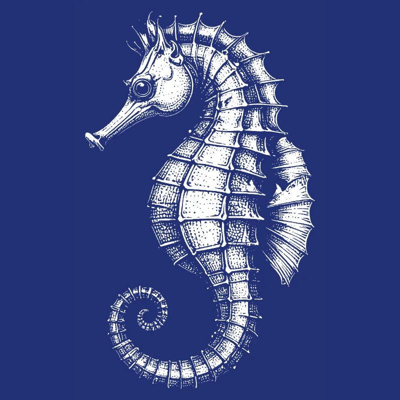 Seepferdchen