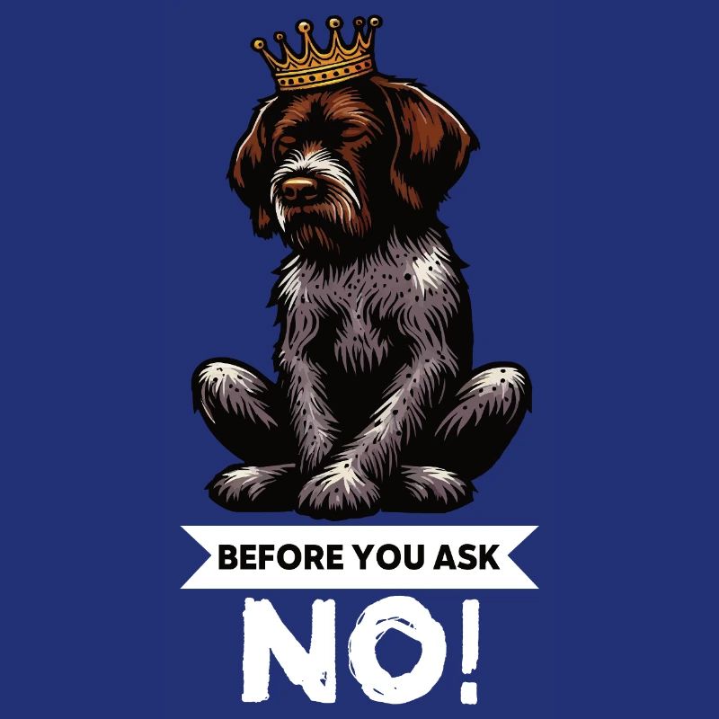 Before You Ask Deutsch Drahthaar Drahthaarhalter