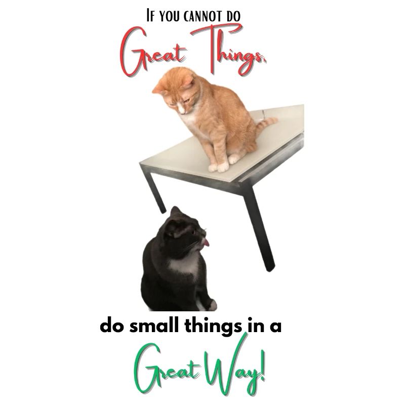 If you cannot do Great Things, do small things...