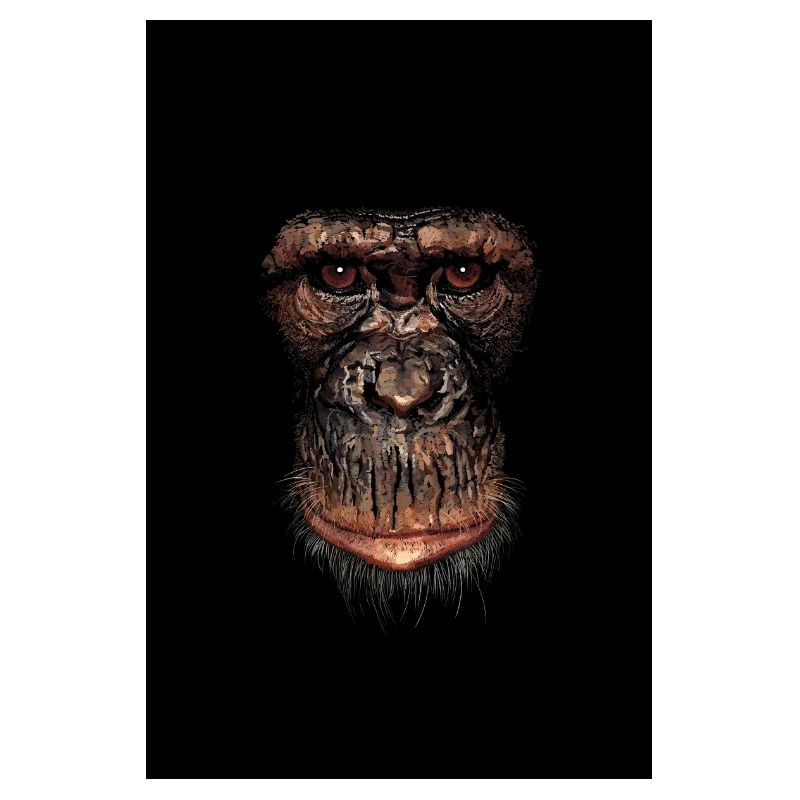 monkey