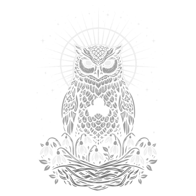 Imbolc Eule mit Triskele und Schneeglöckchen