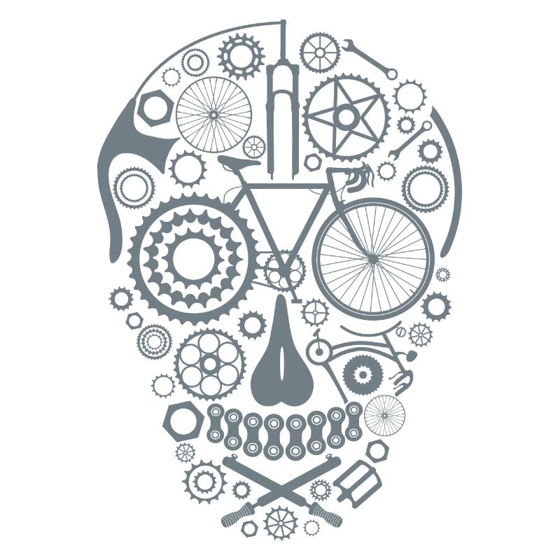 Bicycle Skull grey