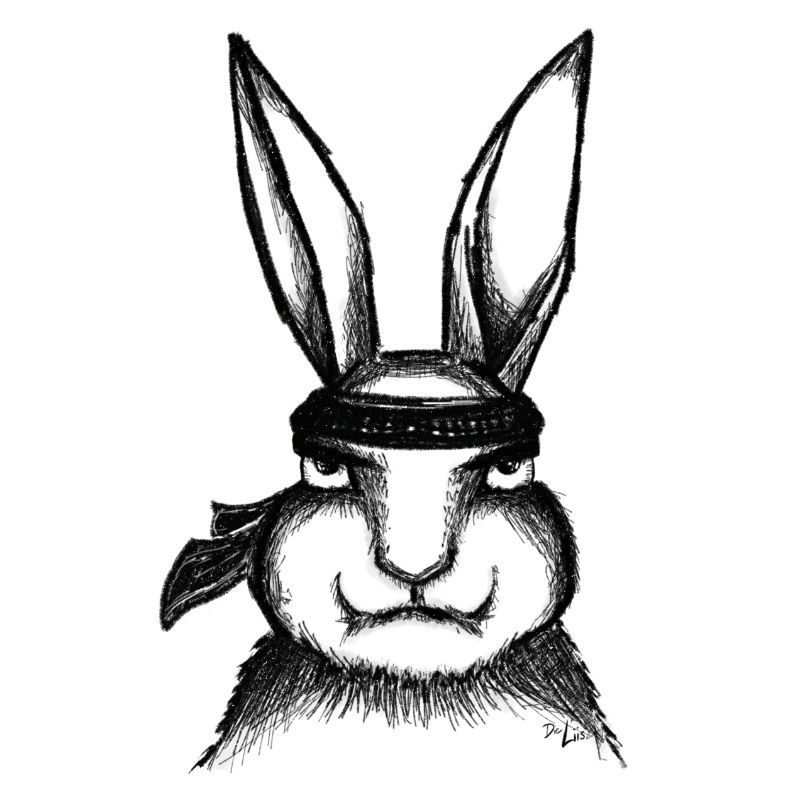 Karaté Lapin
