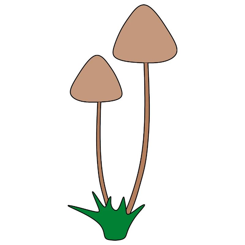 Minimalist Mushroom Botanical Illustration
