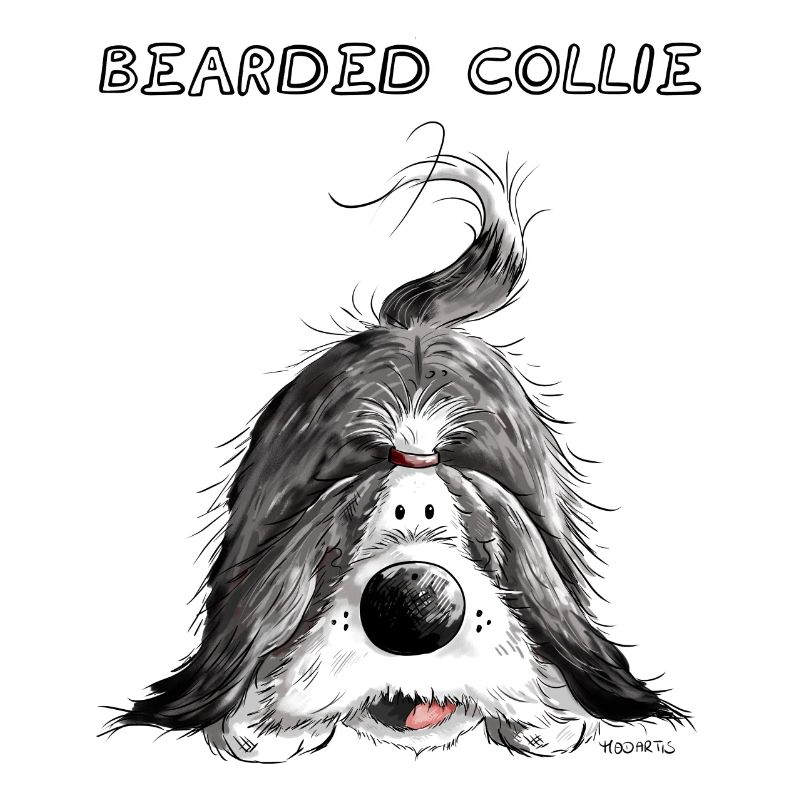 Verspielter Bearded Collie