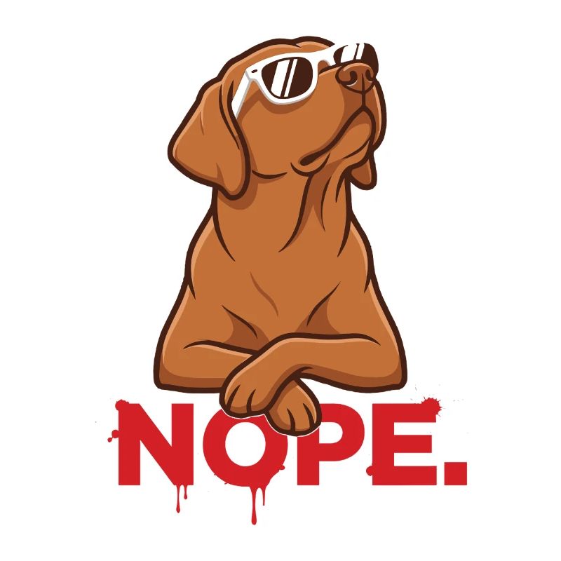 Nope. – Cool Foxred Labbi with sunglasses