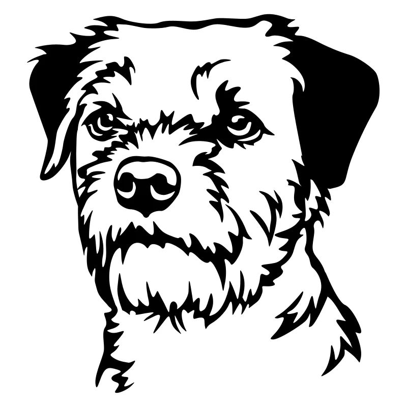 Tête de Border Terrier