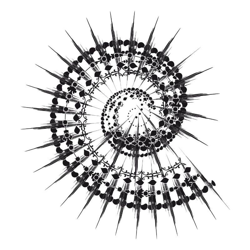 Shell shape snail in black and white
