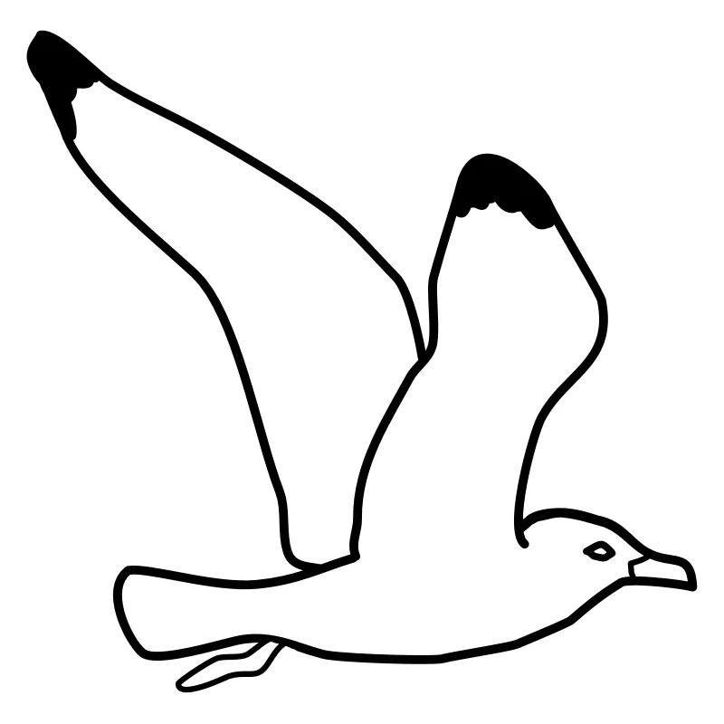 fliegende moewe vogel urlaub