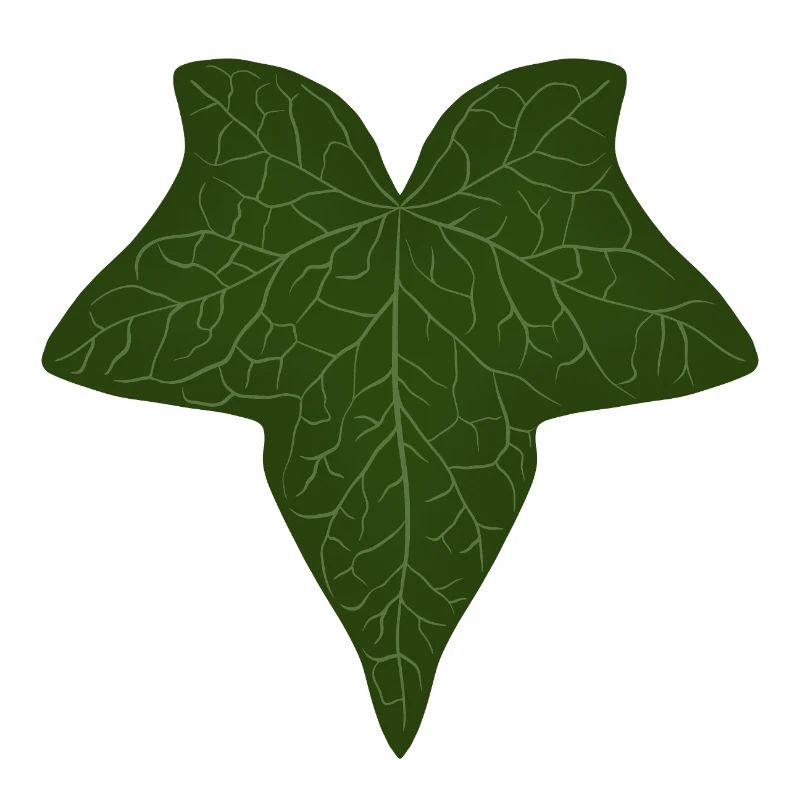 Elegant Green Ivy Leaf Pattern