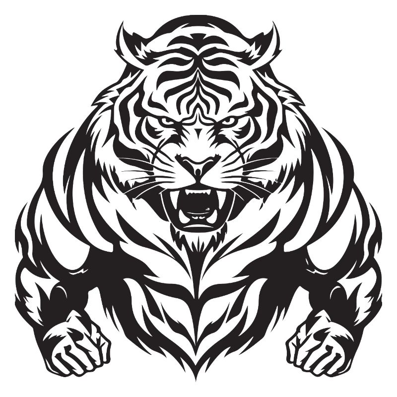 Tiger Workout Gym