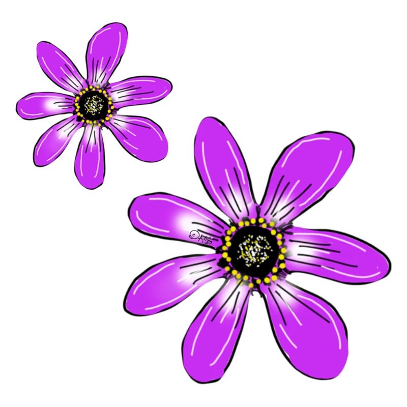 Fleurs Rose