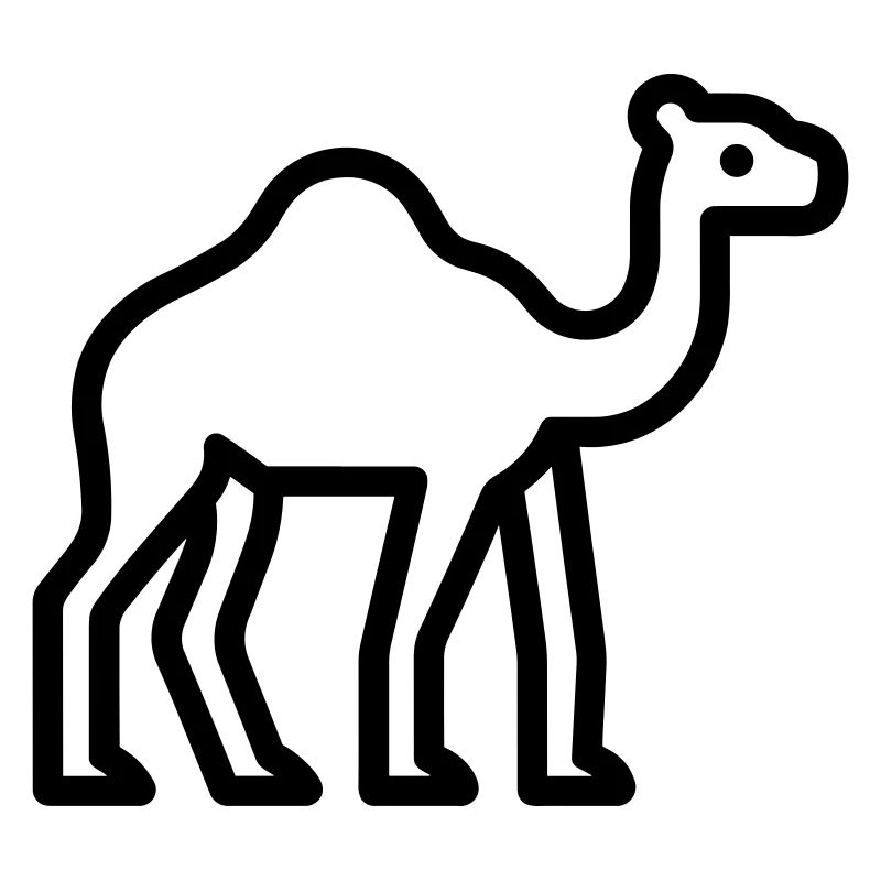 camel