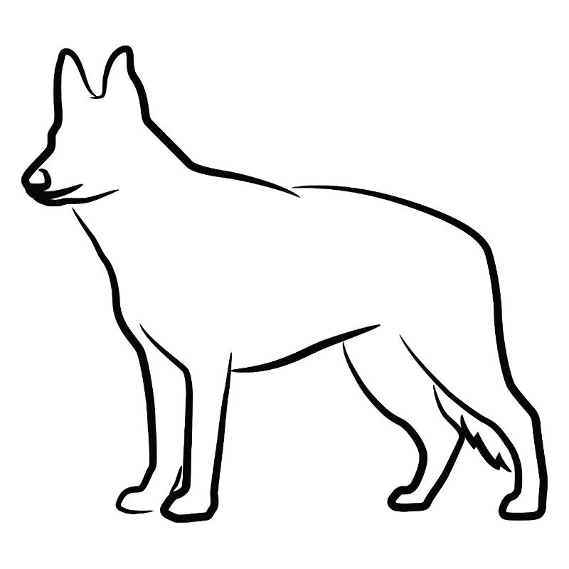 German Shepherd Sketch