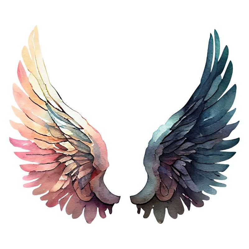 Artistic Rainbow Wings