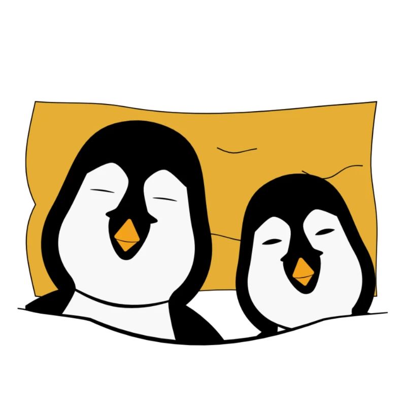 2 pingouins au lit