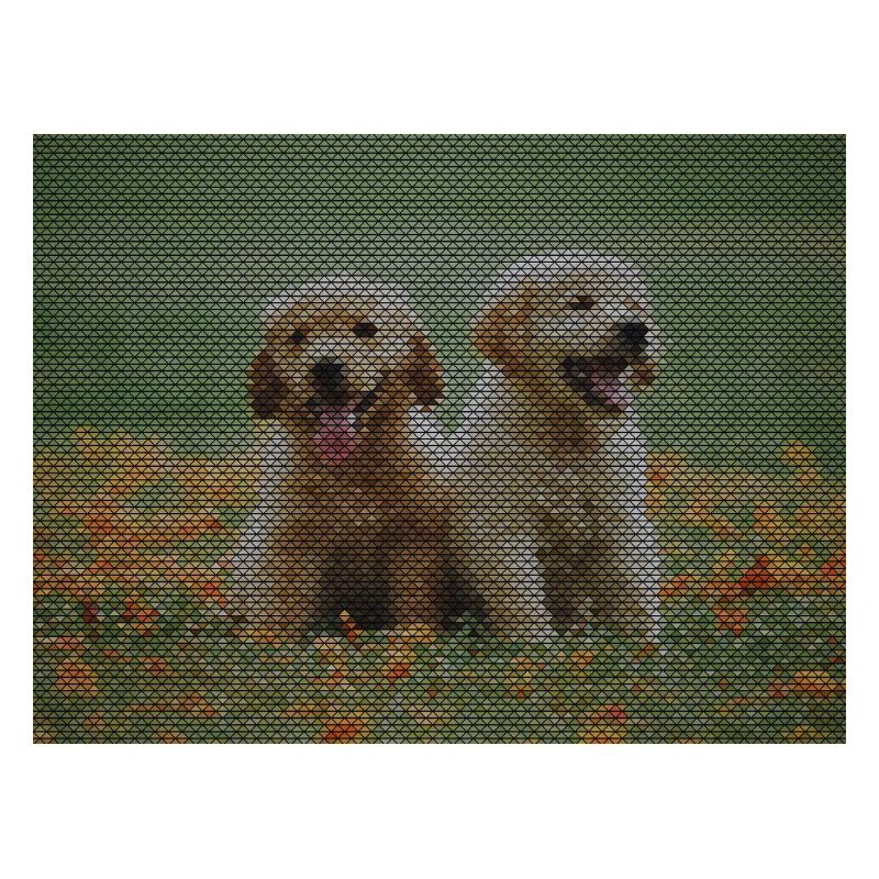 Two Labrador Retriever puppies with triangle pattern