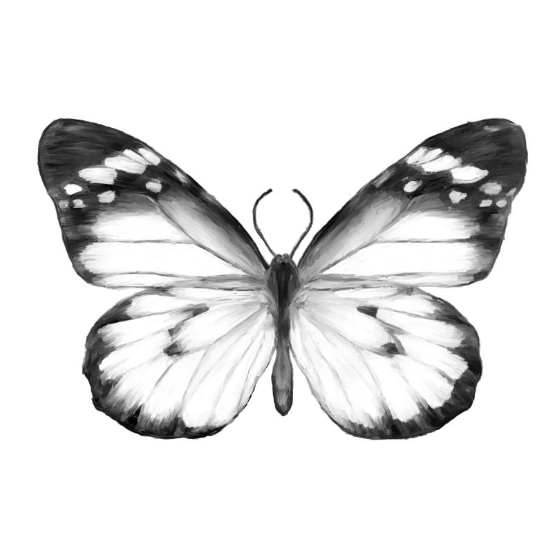 Papillon monochrome
