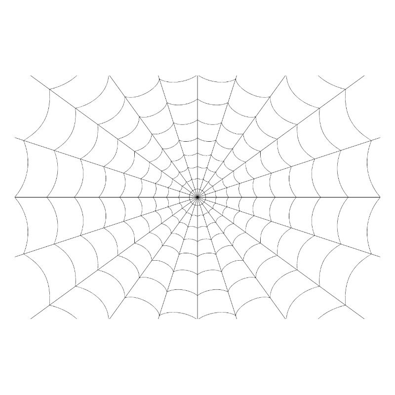 Spider web