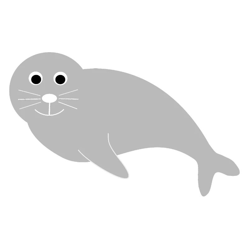 Sceaux, phoques, phoques, phoques animaux