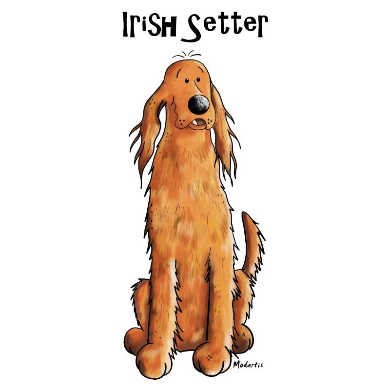 Mignon Irish Setter