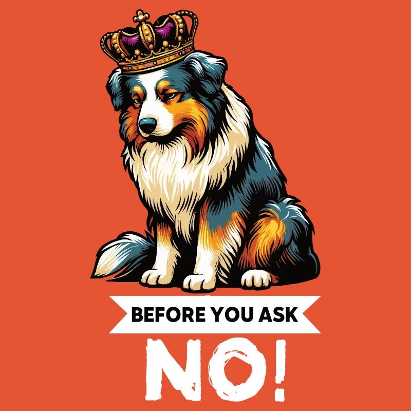 Avant de demander aux Australian Shepherds Aussie Aussies
