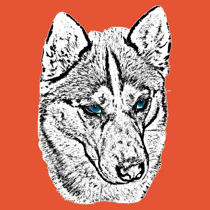 Wolf Head Drawing Blue Eyes