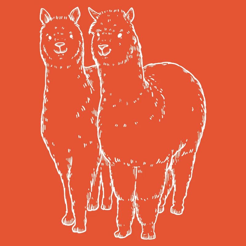 Dessin de lignes de deux lamas alpagas