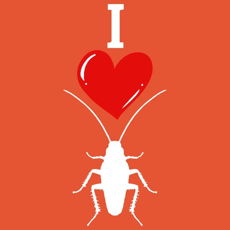insecte cafard