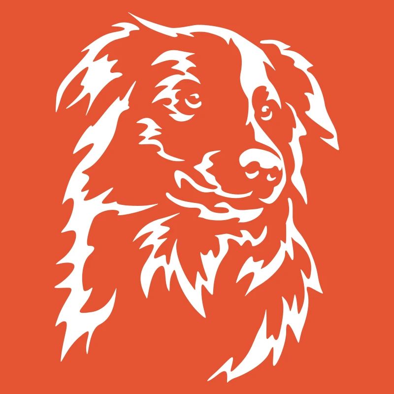 Border Collie Kopf "Black Edition"