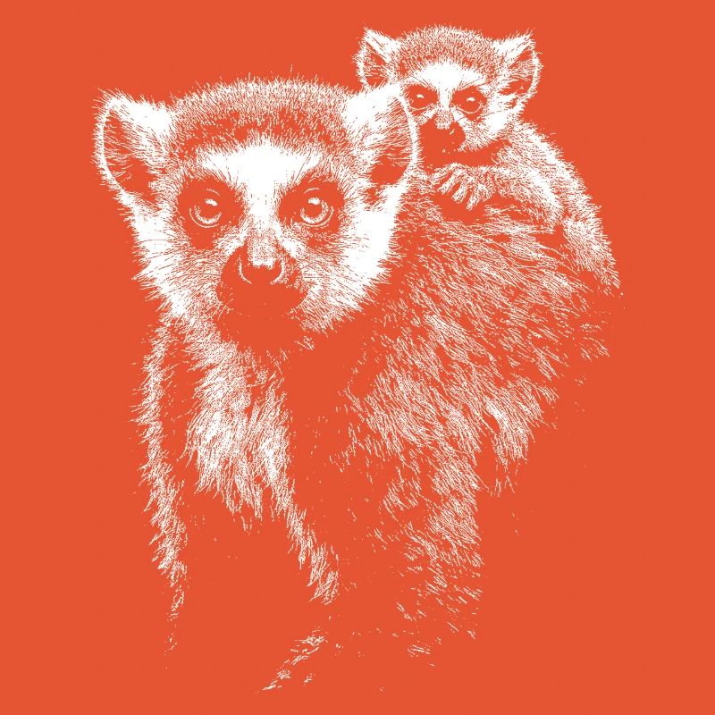 ring-tailed lemur