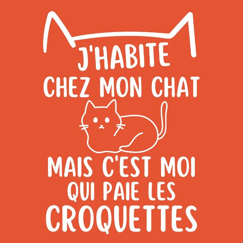 J habite chez mon chat mignon chat chaton doux