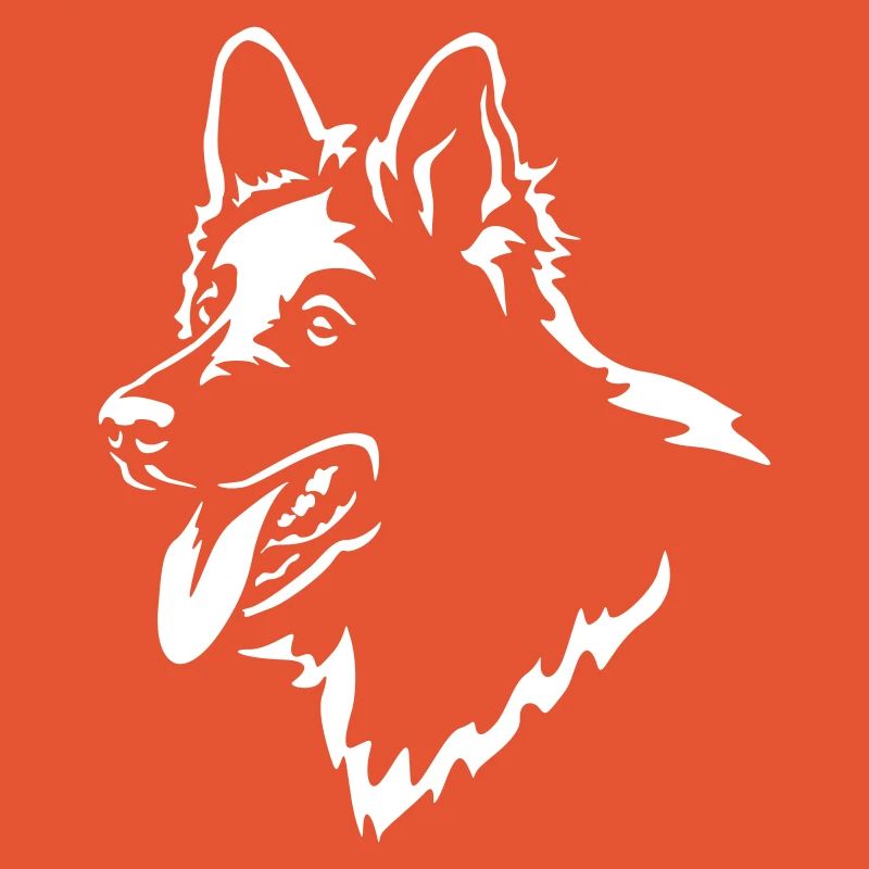 Schweizer Schäferhund Kopf