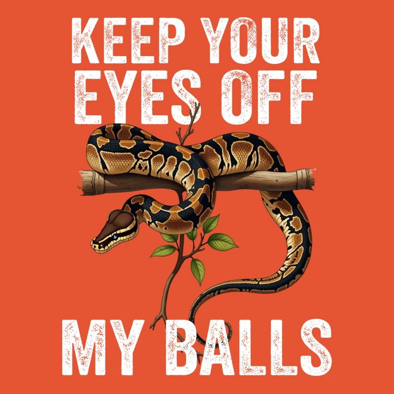 Königspython Schlangen Liebhaber Terrarium Python