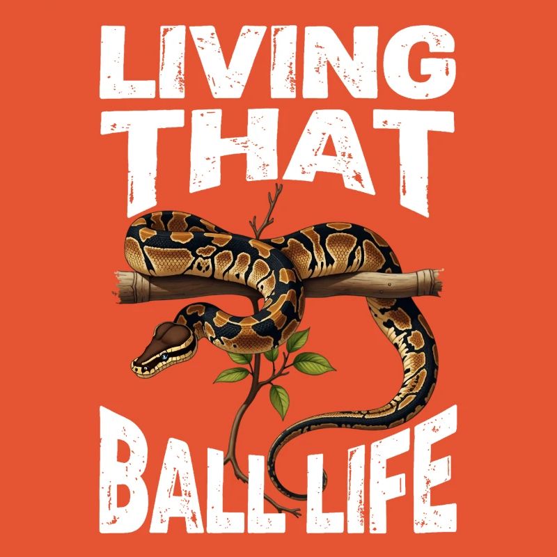 Königspython Schlangen Liebhaber Terrarium Python