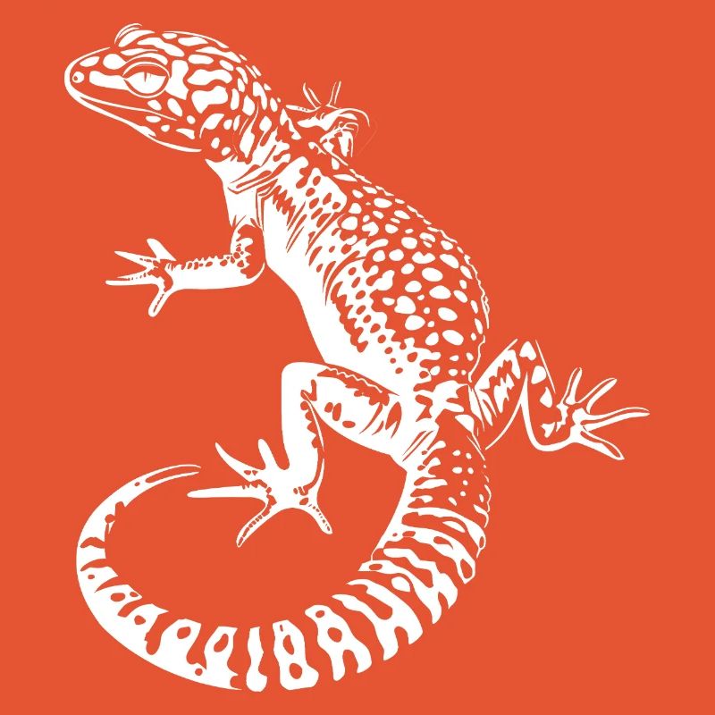 Gecko Leopard Gecko Contrast