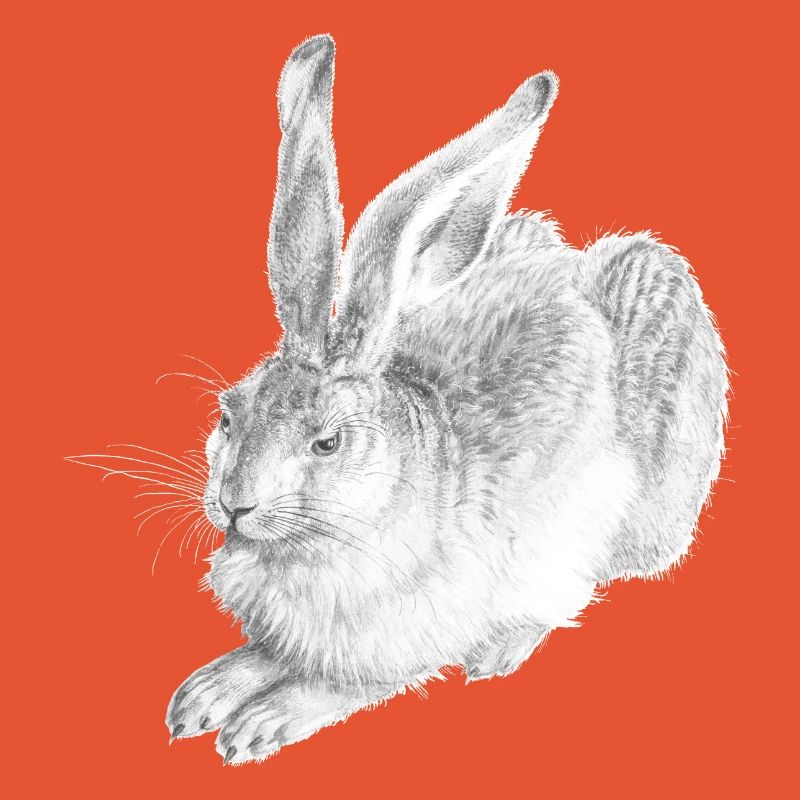 WHITE RABBIT | Schneehase nach Albrecht Dürer