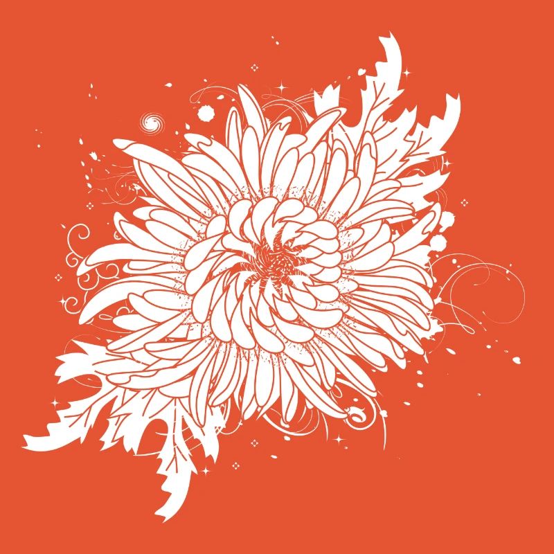 white chrysanthemum