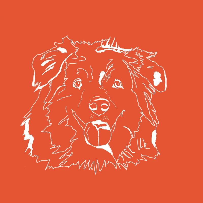 Australian Shepherd
