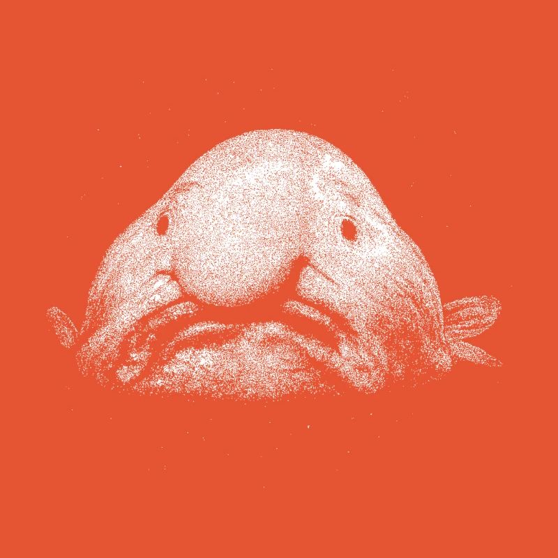 A blob fish