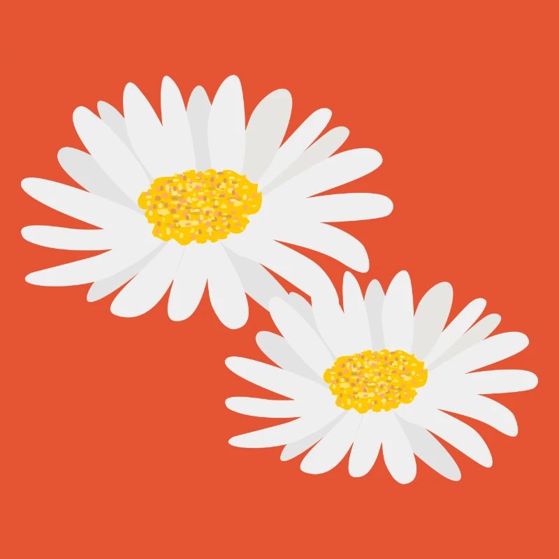 Blume Gänseblümchen