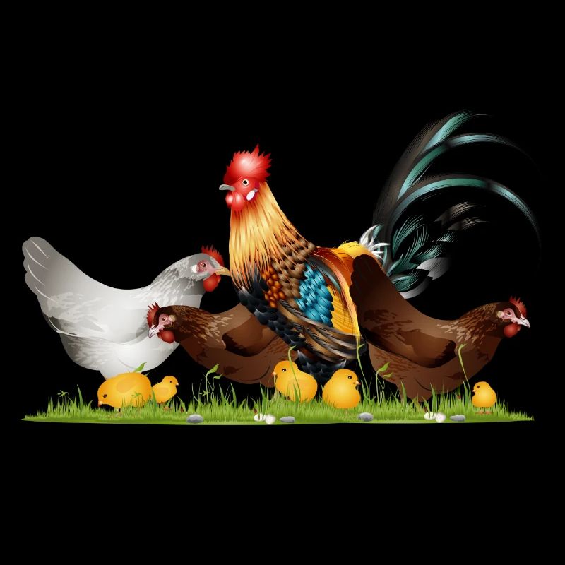 Coq majestueux avec des poulets dans la ferme de poulets