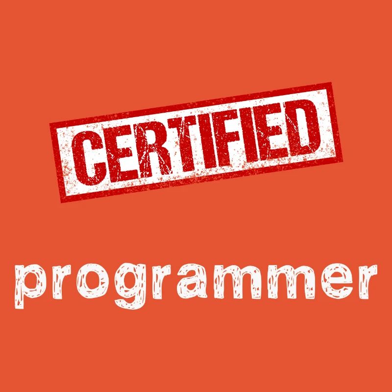 Programmeur
